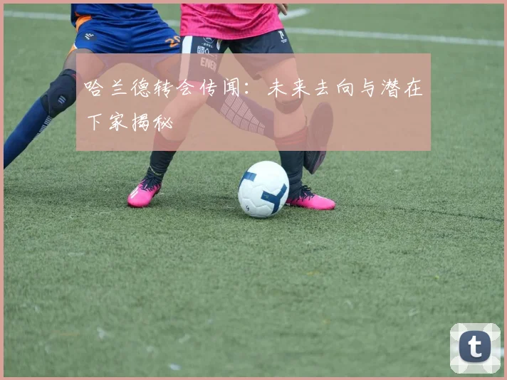 哈兰德转会传闻:未来去向与潜在下家揭秘